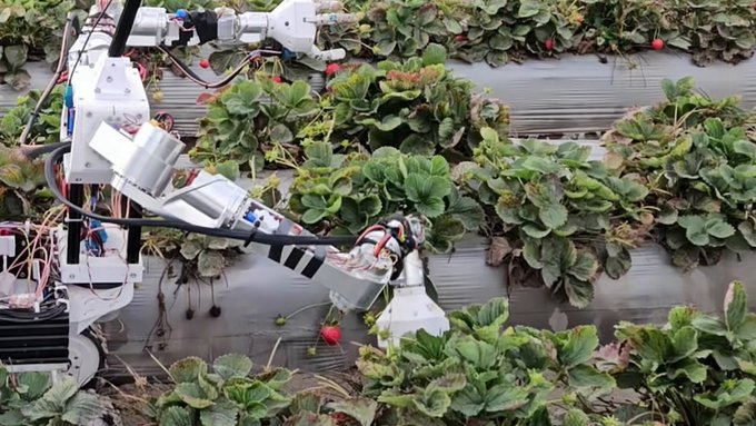 Abstrakte Darstellung eines Roboterarms, der über eine API mit einem KI-Modell verbunden ist
