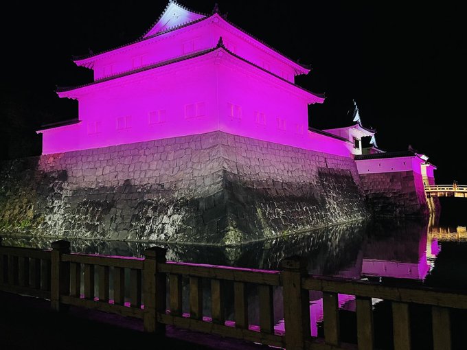 Der Turm Tatsumi Yagura im Sunpu-Park bei Nacht, angestrahlt in leuchtendem Pink.